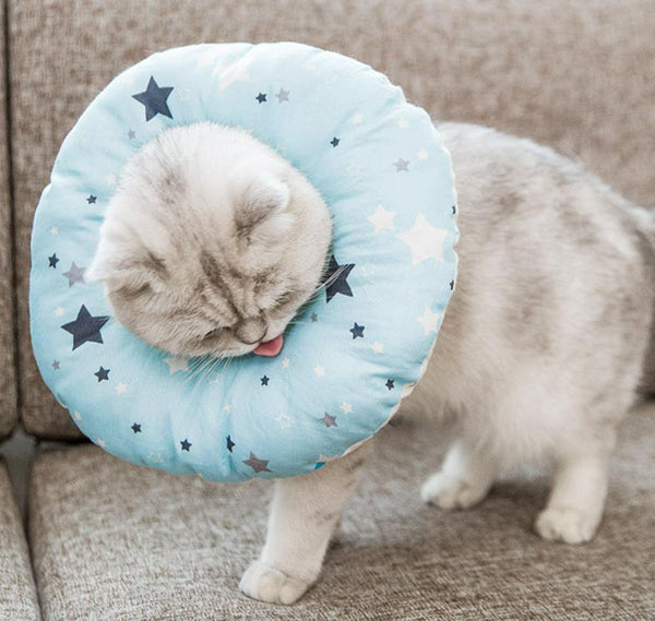 Elizabeth soft cute collar headgear