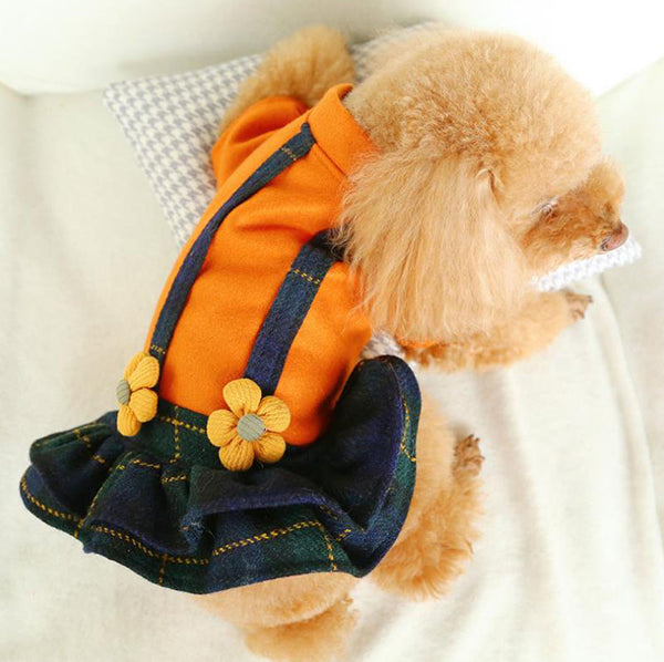 Falda de gato de perro pequeño de otoño e invierno