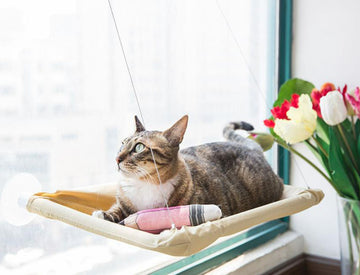 Suction cup cat hammock detachable cat hanging bed spring and summer cat litter hammock swing hanging nest