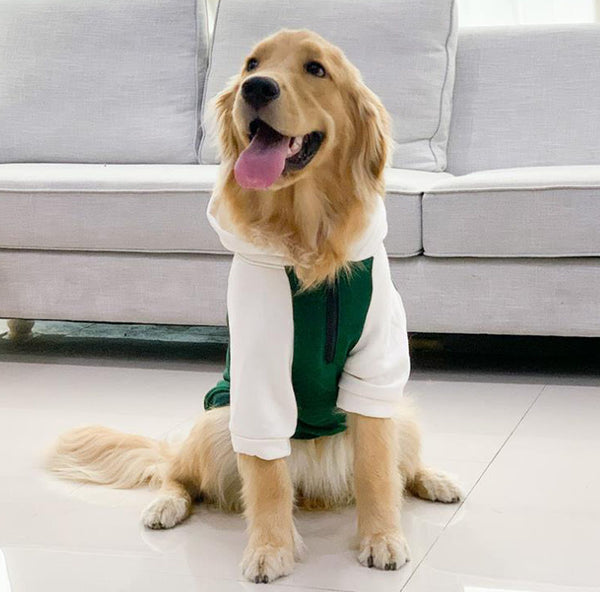 Big dog clothes spring and autumn thin section golden retriever Labrador Samoyed anti-hair loss medium-sized dog large dog autumn and winter clothes