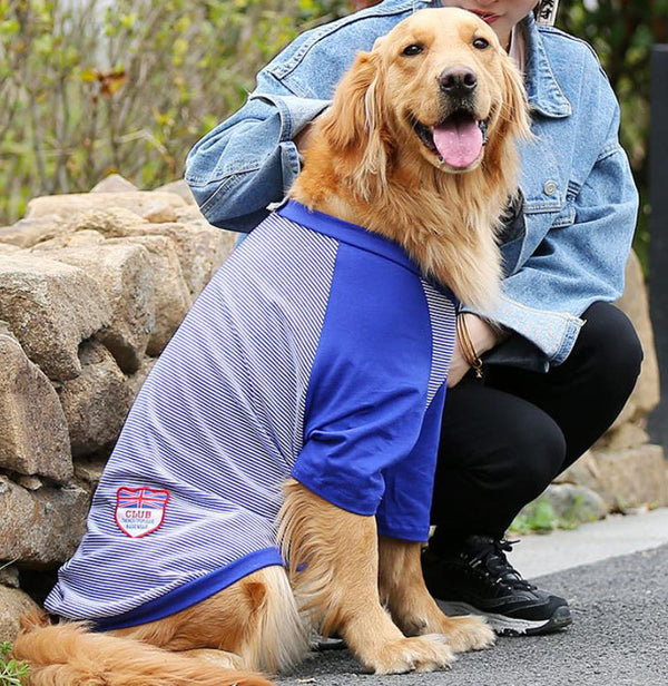 Golden Retriever Vest Samoyed Husky Border Shepherd Medium Large Dog Thin Summer Clothing