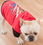 New autumn and winter hooded sweater small and medium-sized dog pet clothes