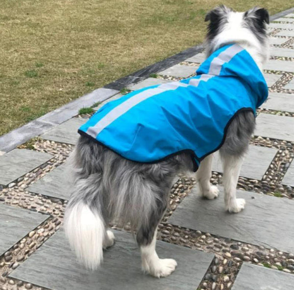New dog raincoat waterproof vest outdoor pet clothes