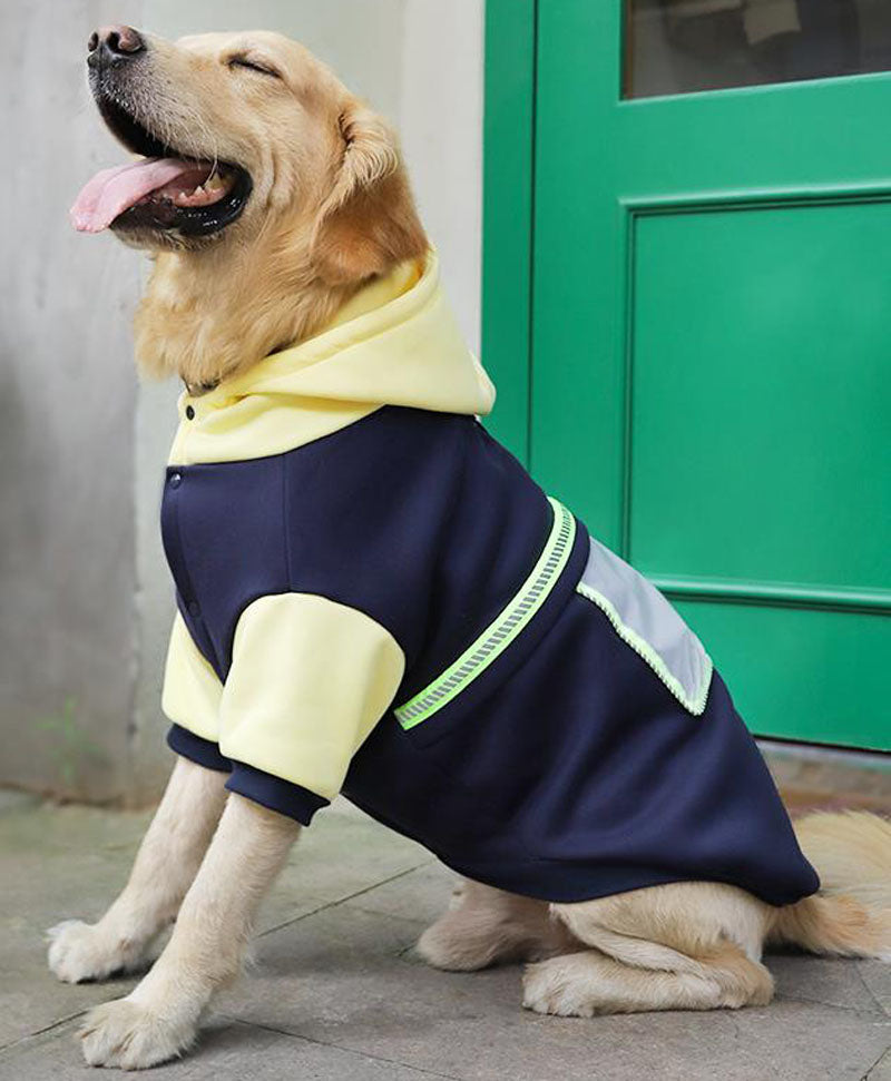 Ropa mascotas Ropa para perros grandes Golden | Zai Pet Store