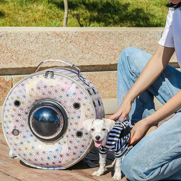 New personality breathable pet backpack