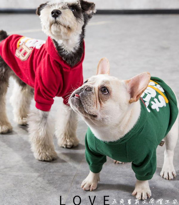 Fadouxelari pug dog sweater autumn and winter clothes