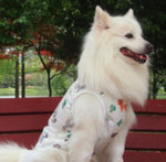 Medium and large dog mesh summer clothes