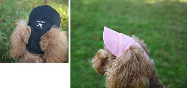 Outdoor outing travel dog cat cap baseball cap