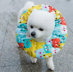 Elizabeth soft cute collar headgear