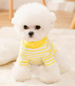Spring and Autumn Puppy Dog Cat Sweater Two Feet Pet Clothes Bottoming Shirt
