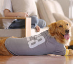 Golden Retriever Vest Samoyed Husky Border Shepherd Medium Large Dog Thin Summer Clothing