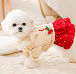 New small dog autumn and winter dress