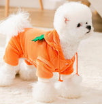 Puppy four feet autumn and winter clothes