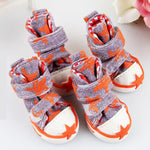 Zapatos para perros starfish canvas