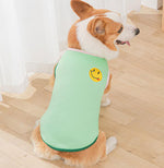 Gilet de printemps fin d'été Corgibago Fadou