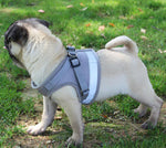 Pet Small Dog Reflective Vest Chest Strap Pet Leash