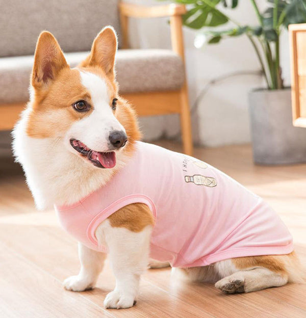 Gilet de printemps fin d'été Corgibago Fadou