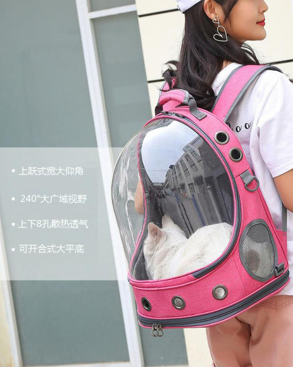 Der neue transparente Haustier-Raumrucksack für Katzen und Hunde
