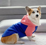 Corgi dog clothes spring and autumn thin section small and medium-sized dog autumn hair loss prevention pet