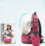 Der neue transparente Haustier-Raumrucksack für Katzen und Hunde