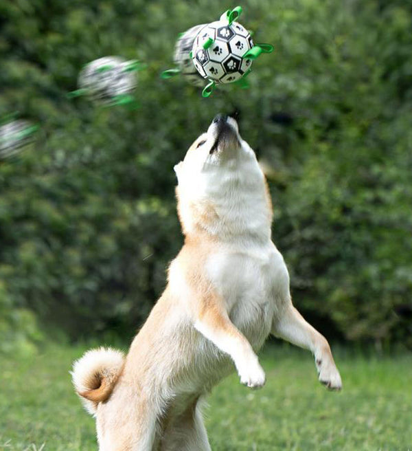 Dog training interactive football toy Bianmu corgi rubber ball molar bite-resistant small large dog