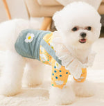 New small dog autumn and winter dress