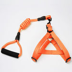 Puppy medium dog leash