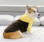 Corgi dog clothes spring and autumn thin section small and medium-sized dog autumn hair loss prevention pet