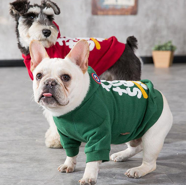 Fadouxelari pug dog sweater autumn and winter clothes