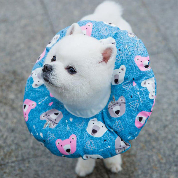 Elizabeth soft cute collar headgear