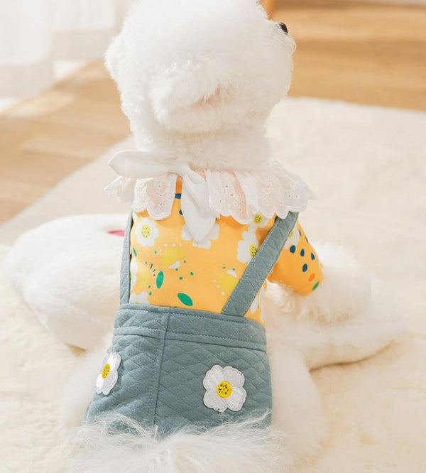 New small dog autumn and winter dress