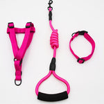 Puppy medium dog leash