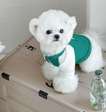 Spring and Autumn Puppy Dog Cat Sweater Two Feet Pet Clothes Bottoming Shirt