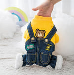 Puppy four feet autumn and winter clothes