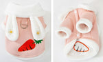 New small dog autumn and winter dress