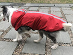New dog raincoat waterproof vest outdoor pet clothes