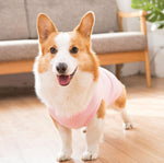 Gilet de printemps fin d'été Corgibago Fadou