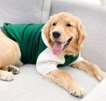 Big dog clothes spring and autumn thin section golden retriever Labrador Samoyed anti-hair loss medium-sized dog large dog autumn and winter clothes