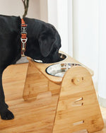 Stainless steel pet double bowl with adjustable bamboo and wooden frame for medium and large dogs