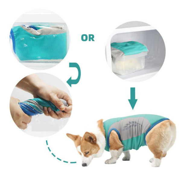 Corgi Cooling Vest Coole Sommerhaustierkleidung