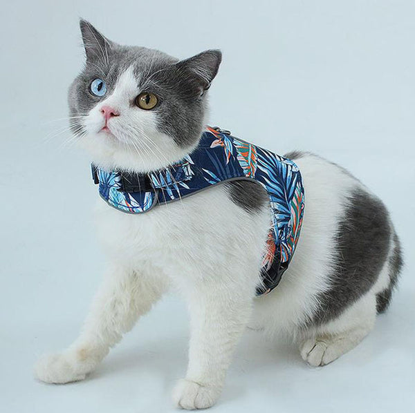 通気性のある耐衝撃反射キャットハーネス