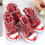 Zapatos para perros starfish canvas