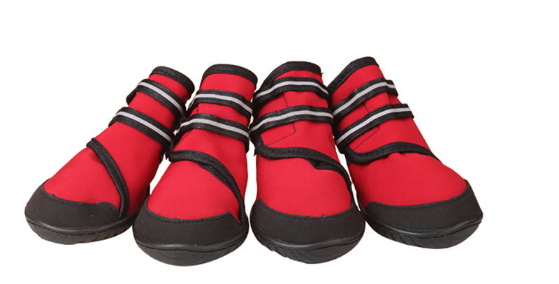 Large outlet dog shoes