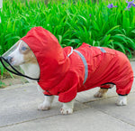 Corgi dog raincoat