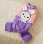 Puppy four feet autumn and winter clothes