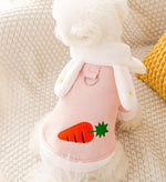 New small dog autumn and winter dress