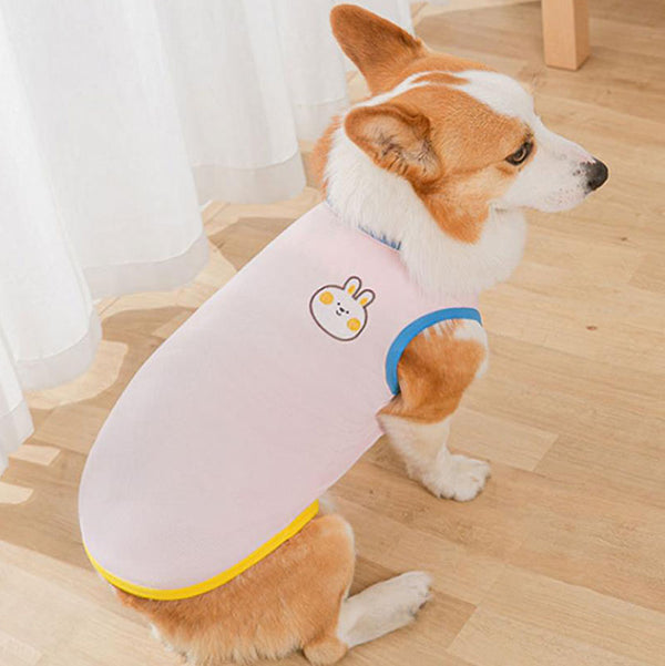 Gilet de printemps fin d'été Corgibago Fadou