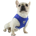 Pet Small Dog Reflective Vest Chest Strap Pet Leash