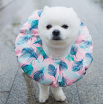 Elizabeth soft cute collar headgear