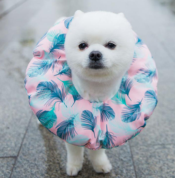 Elizabeth soft cute collar headgear